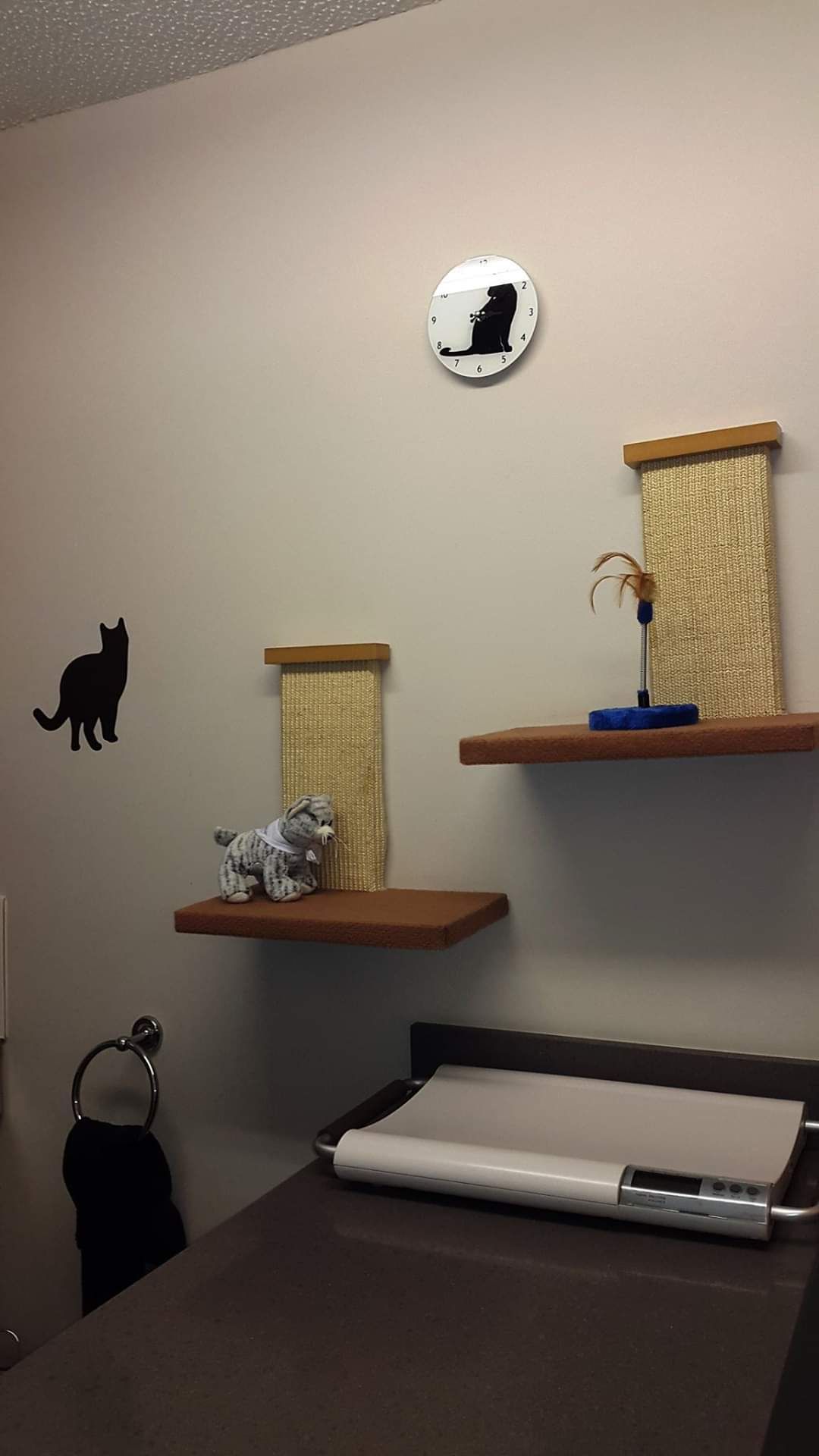 feline-facilities-062c415c1c58ba