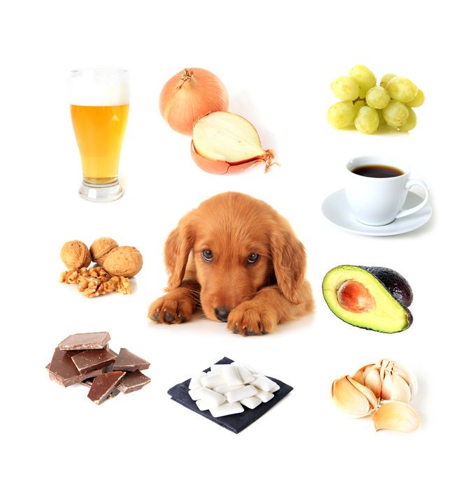 poisons-advice-062c4156304b3c(1)
