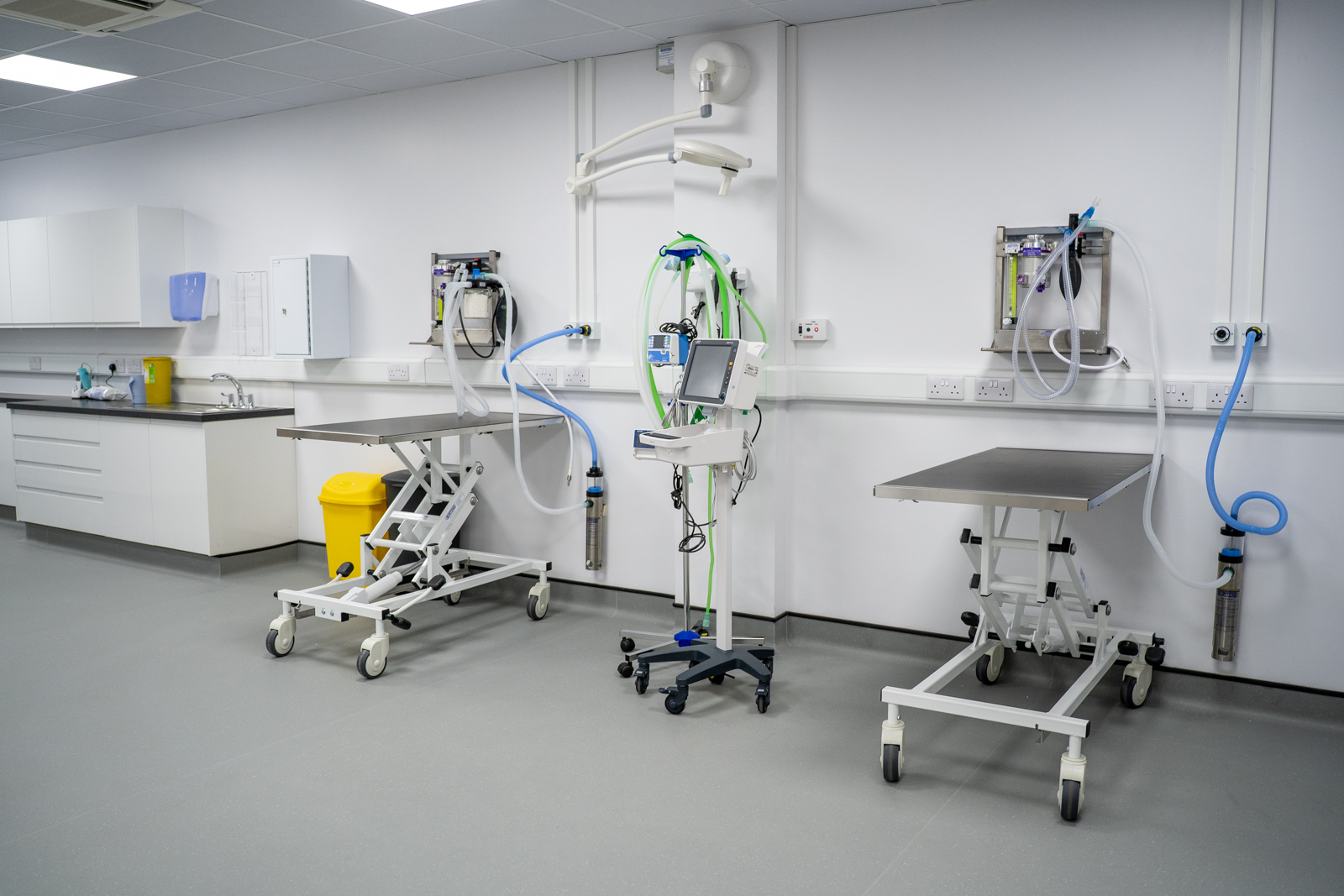 Caerphilly Veterinary clinic (Web) 057