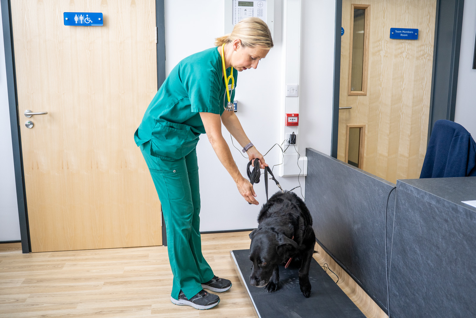 Caerphilly Veterinary clinic (Web) 015