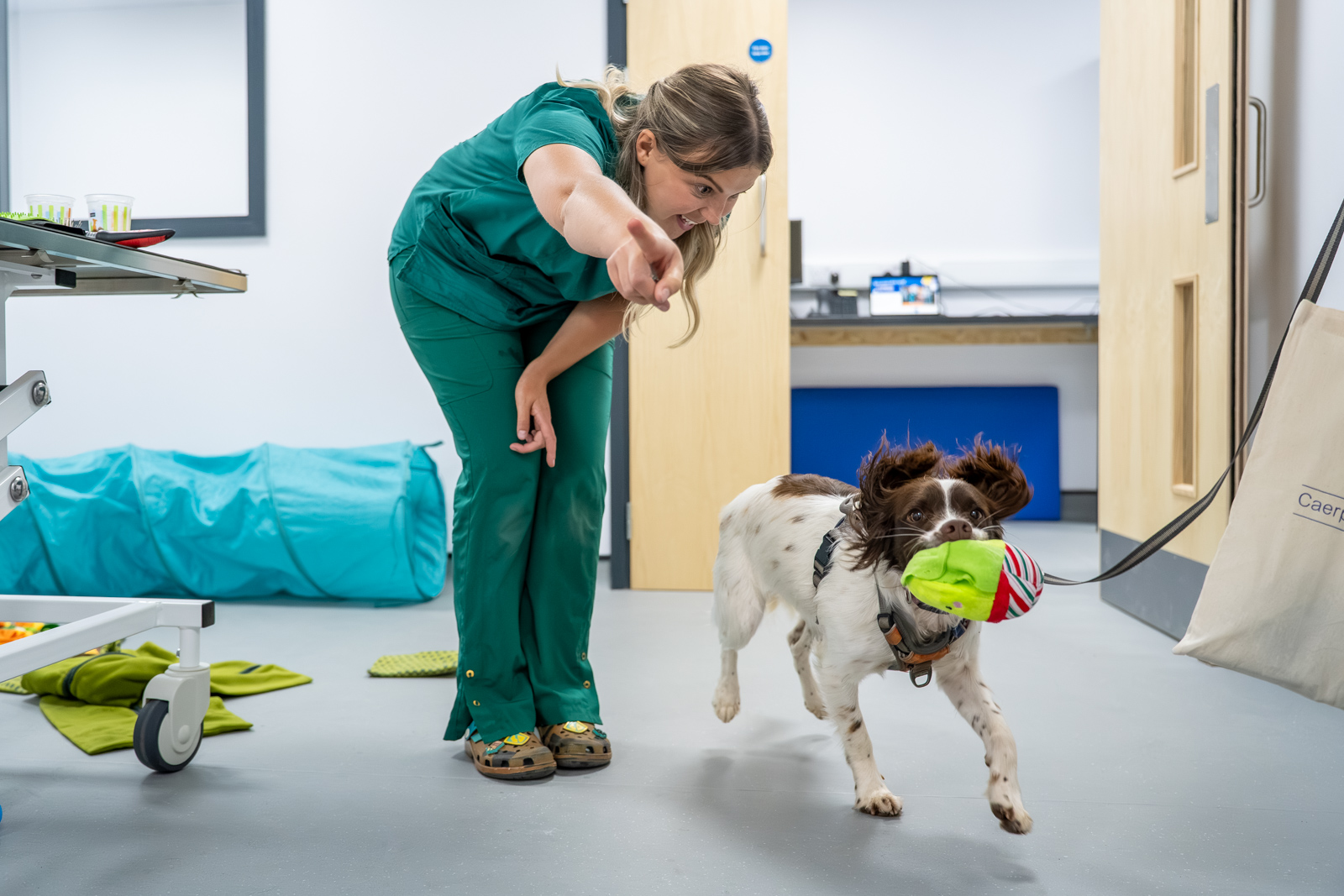 Caerphilly Veterinary clinic (Web) 150